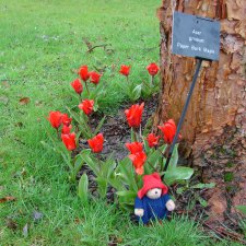 Сад замка Рэби