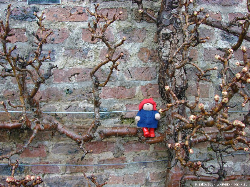 Сад замка Рэби — Туризм и путешествия: фотоотчеты из поездок