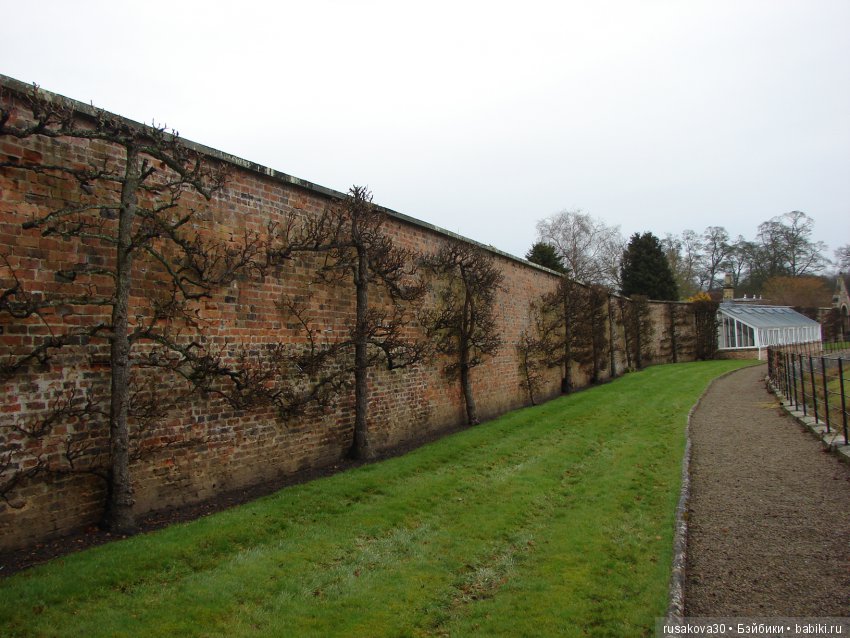 Сад замка Рэби — Туризм и путешествия: фотоотчеты из поездок (фото 10)