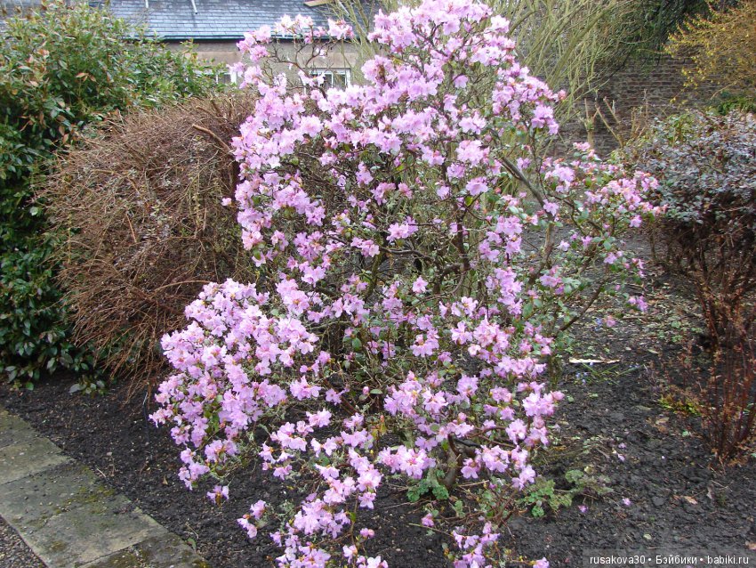 Сад замка Рэби — Туризм и путешествия: фотоотчеты из поездок