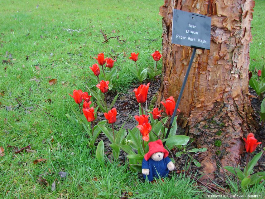 Сад замка Рэби — Туризм и путешествия: фотоотчеты из поездок