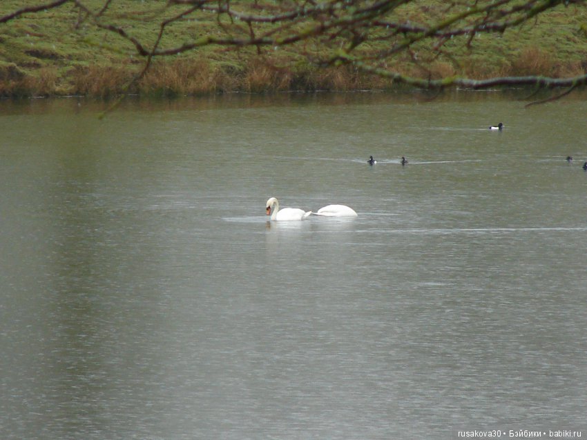 Сад замка Рэби — Туризм и путешествия: фотоотчеты из поездок (фото 9)
