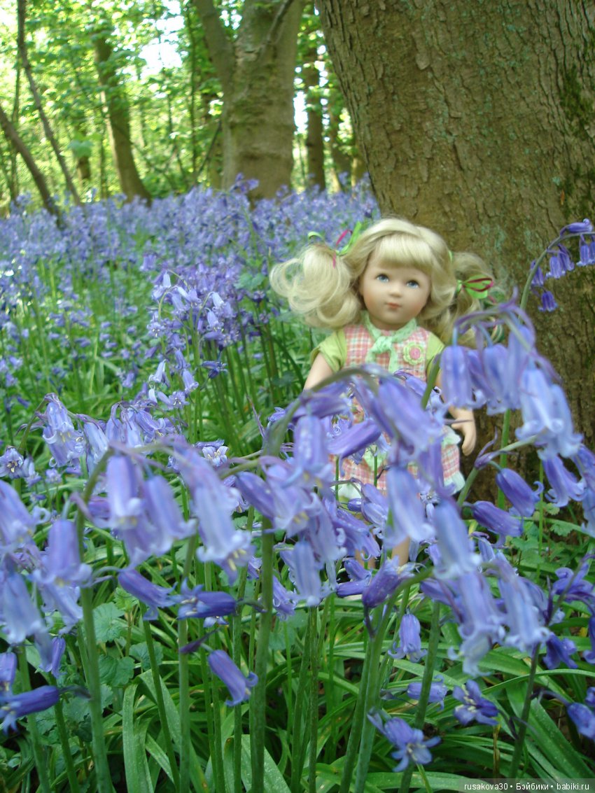 Колокольчики мои, цветики степные (фото 8)