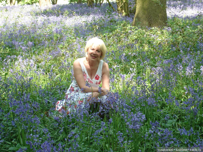 Колокольчики мои, цветики степные