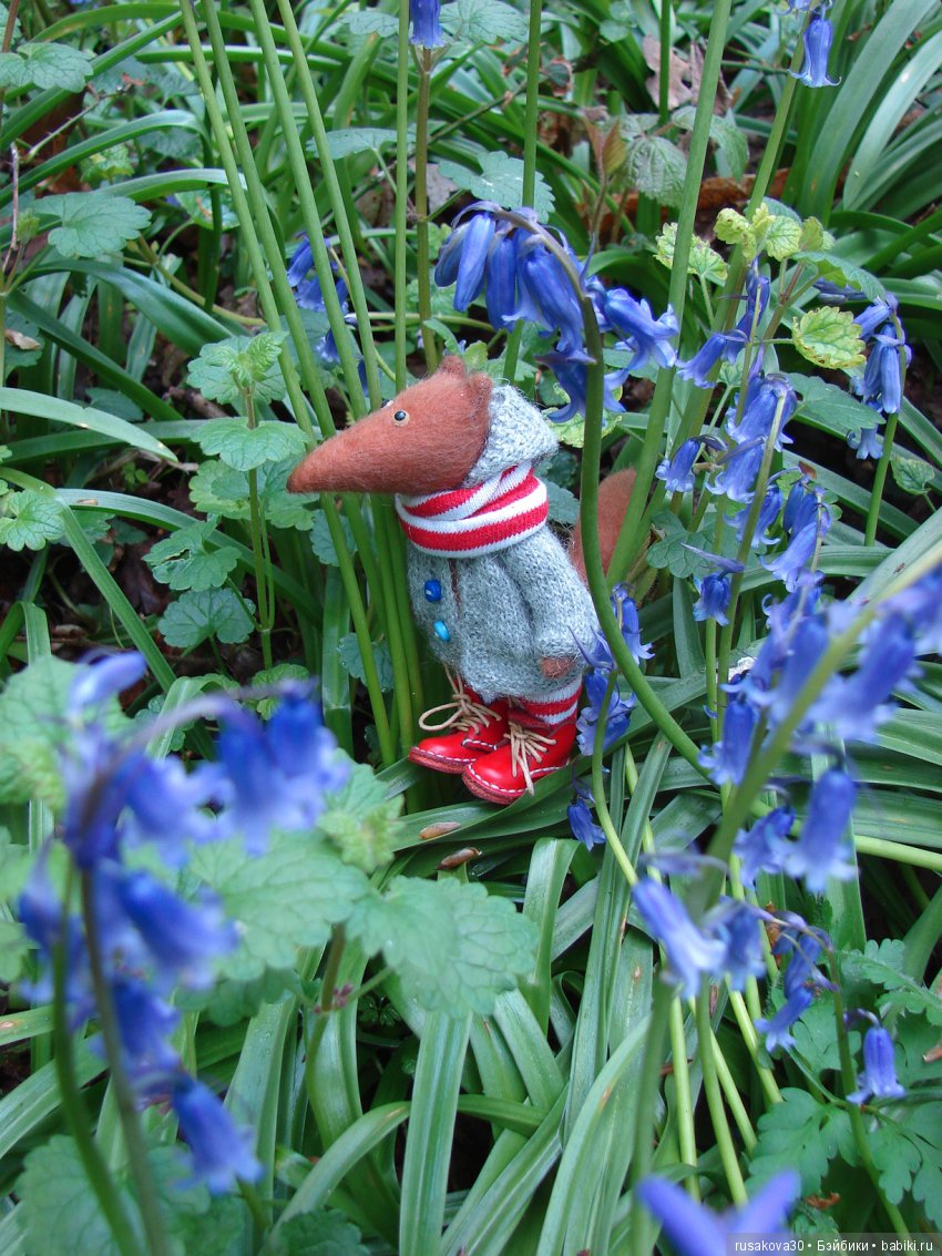 Колокольчики мои, цветики степные (фото 4)