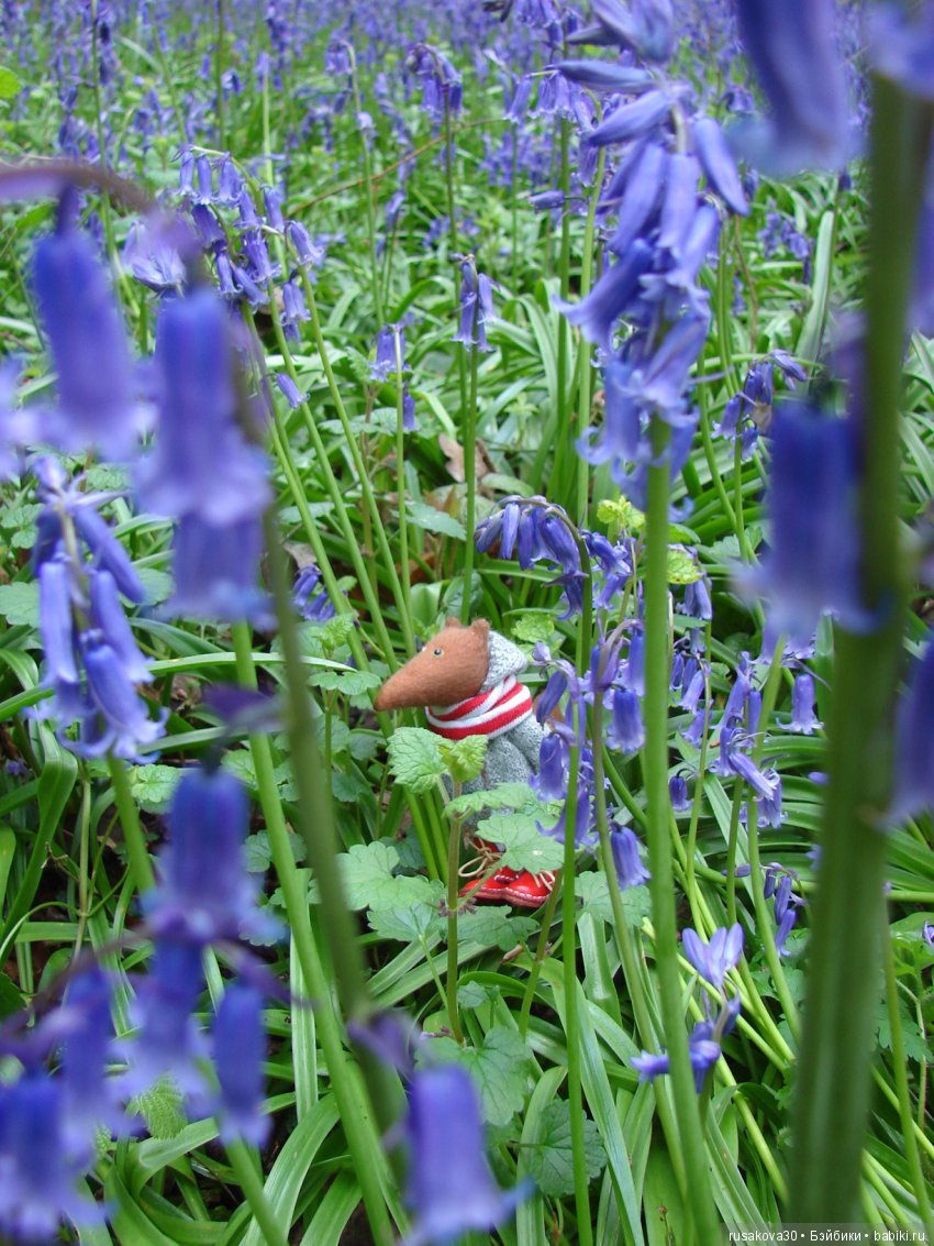 Колокольчики мои, цветики степные