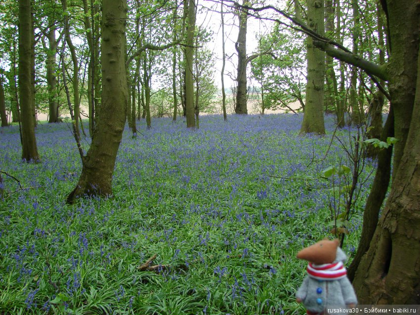 Колокольчики мои, цветики степные (фото 6)