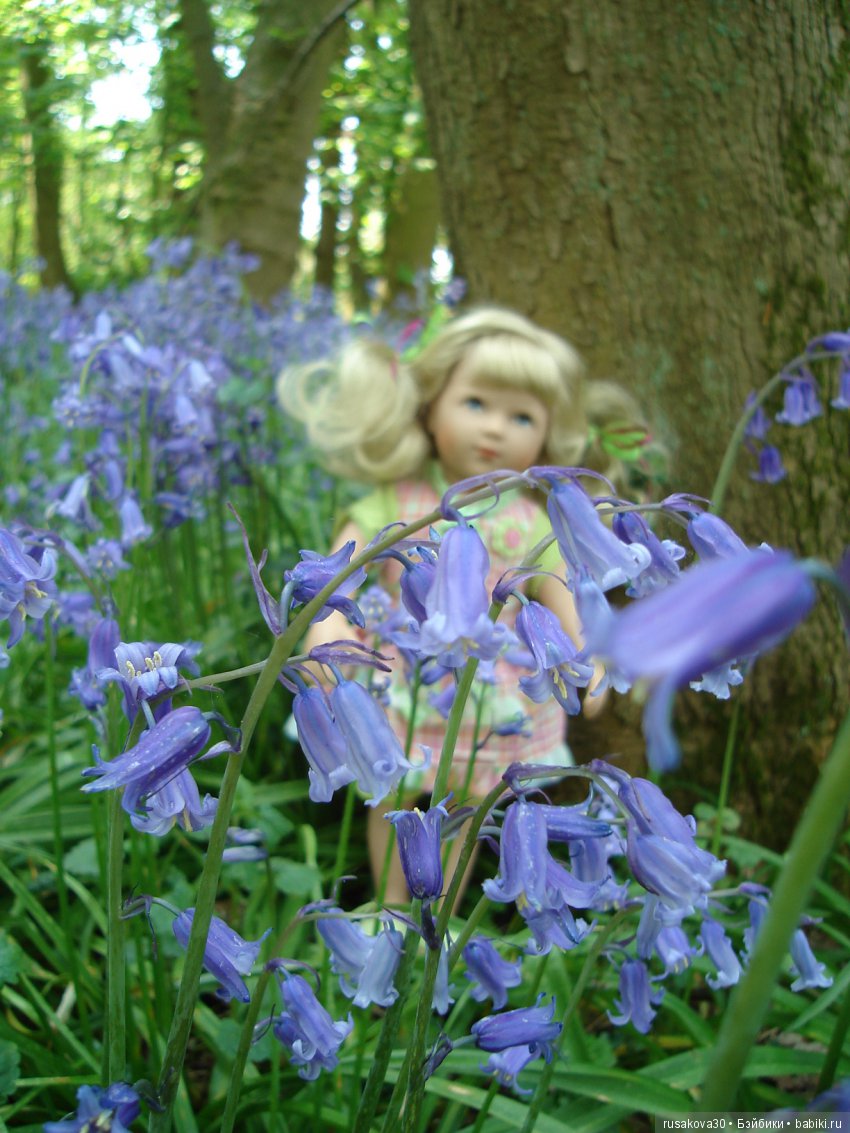 Колокольчики мои, цветики степные