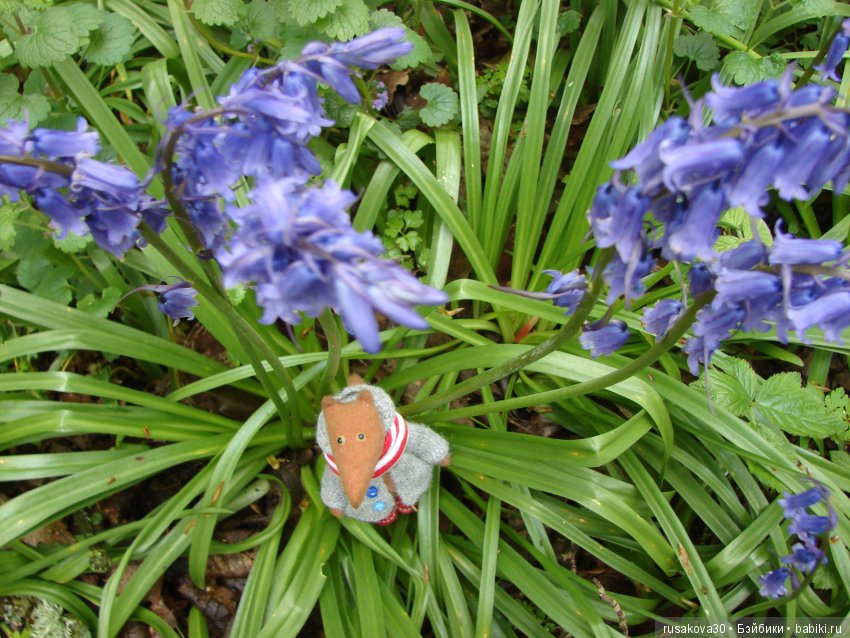 Колокольчики мои, цветики степные