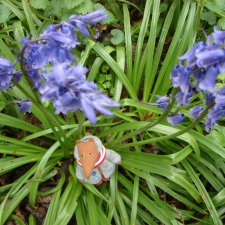 Колокольчики мои, цветики степные!