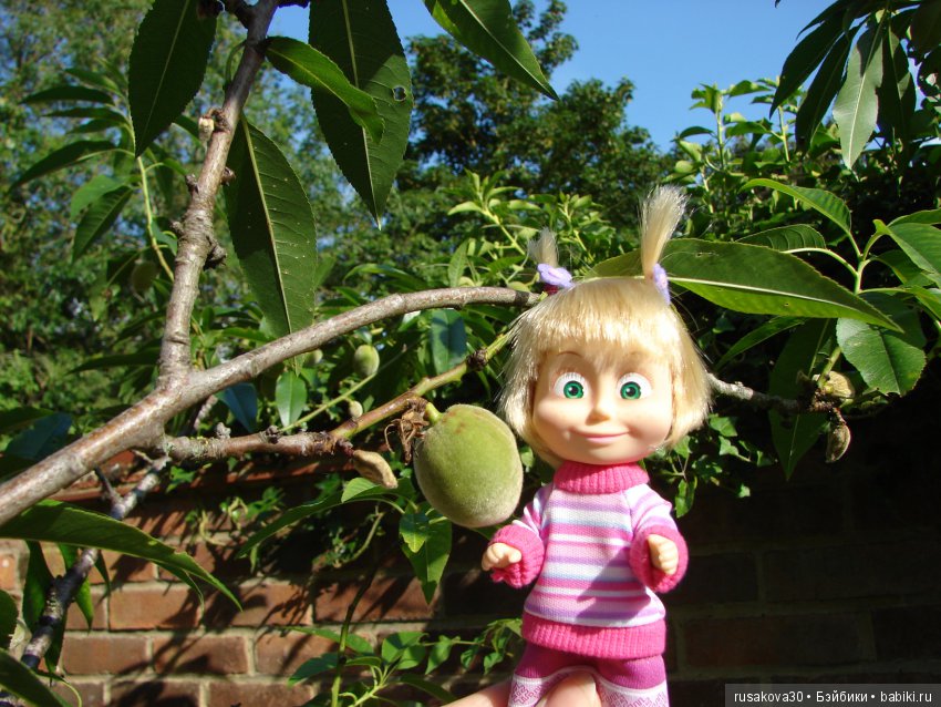 Машек много НЕ бывает — Куклы Маша и Медведь (Simba): Маша в кармашке (фото 2)