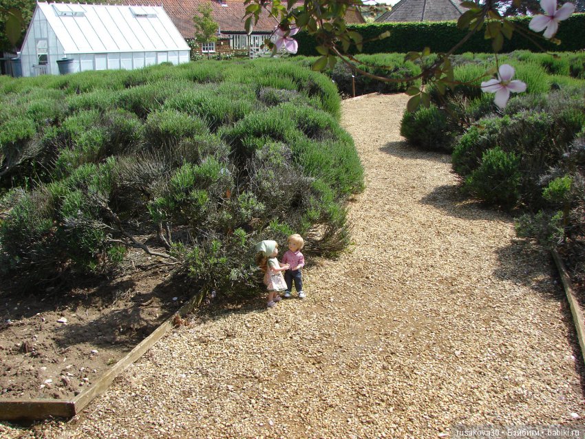 Минушки и Людвиг путешествуют