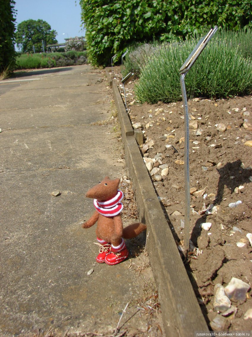 Минушки и Людвиг путешествуют