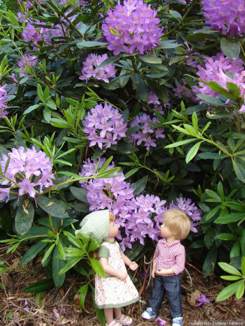 Людвиг и минушки в королевском поместье (фото 5)