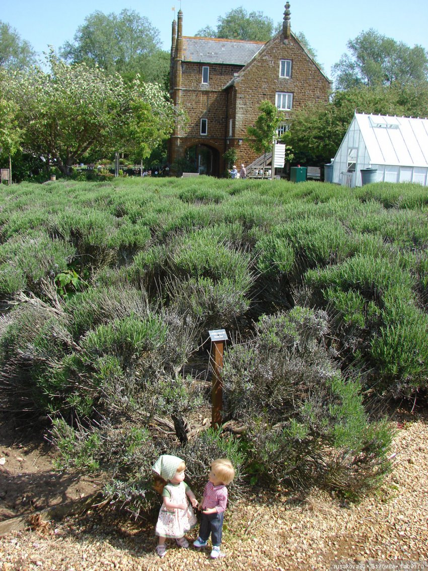 Минушки и Людвиг путешествуют