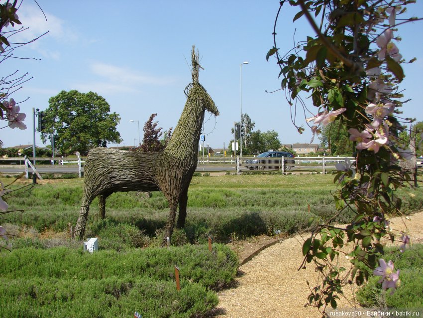 Минушки и Людвиг путешествуют