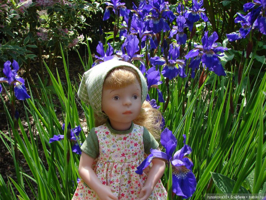 Минушки и Людвиг путешествуют