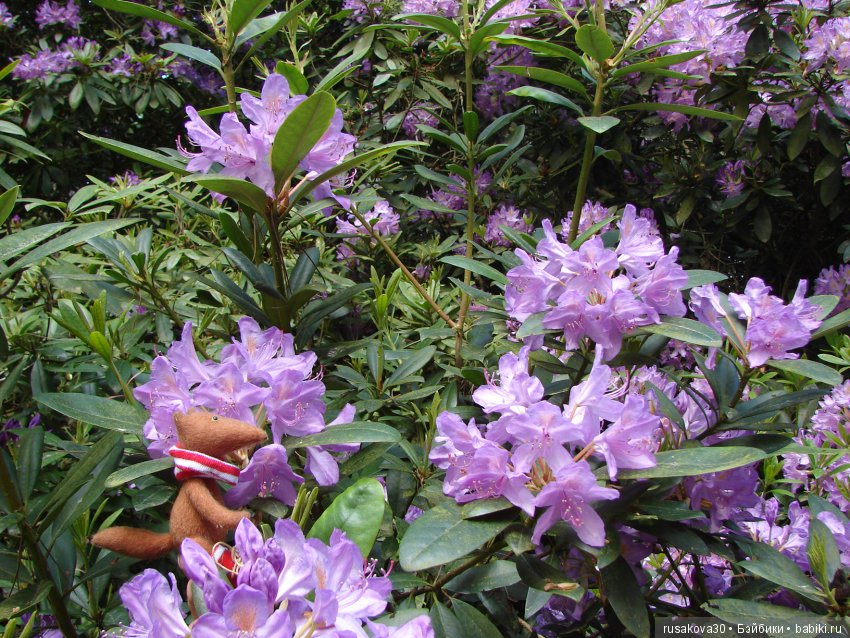 Людвиг и минушки в королевском поместье