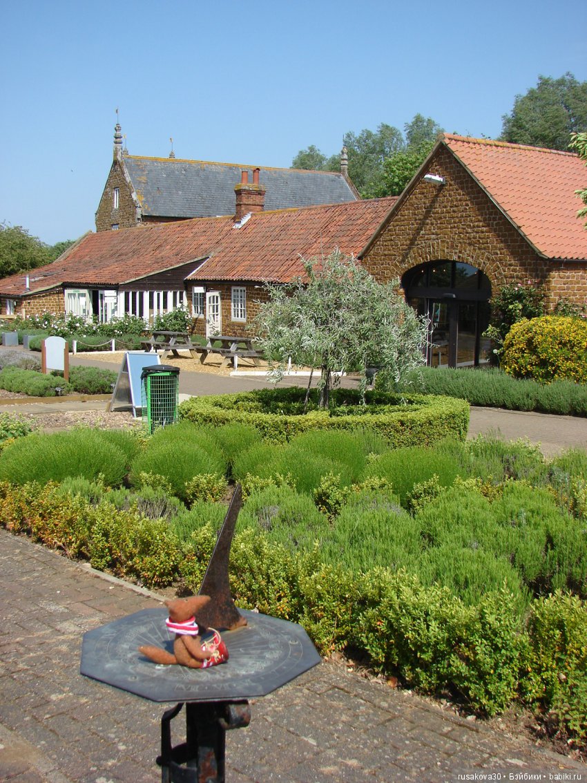 Минушки и Людвиг путешествуют (фото 2)