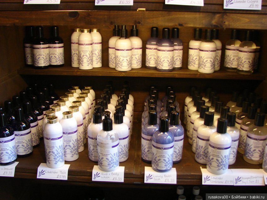 Минушки и Людвиг путешествуют