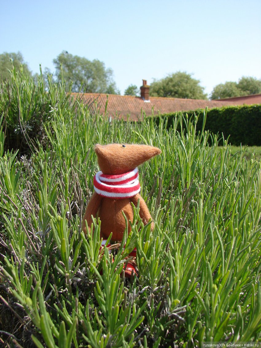 Минушки и Людвиг путешествуют