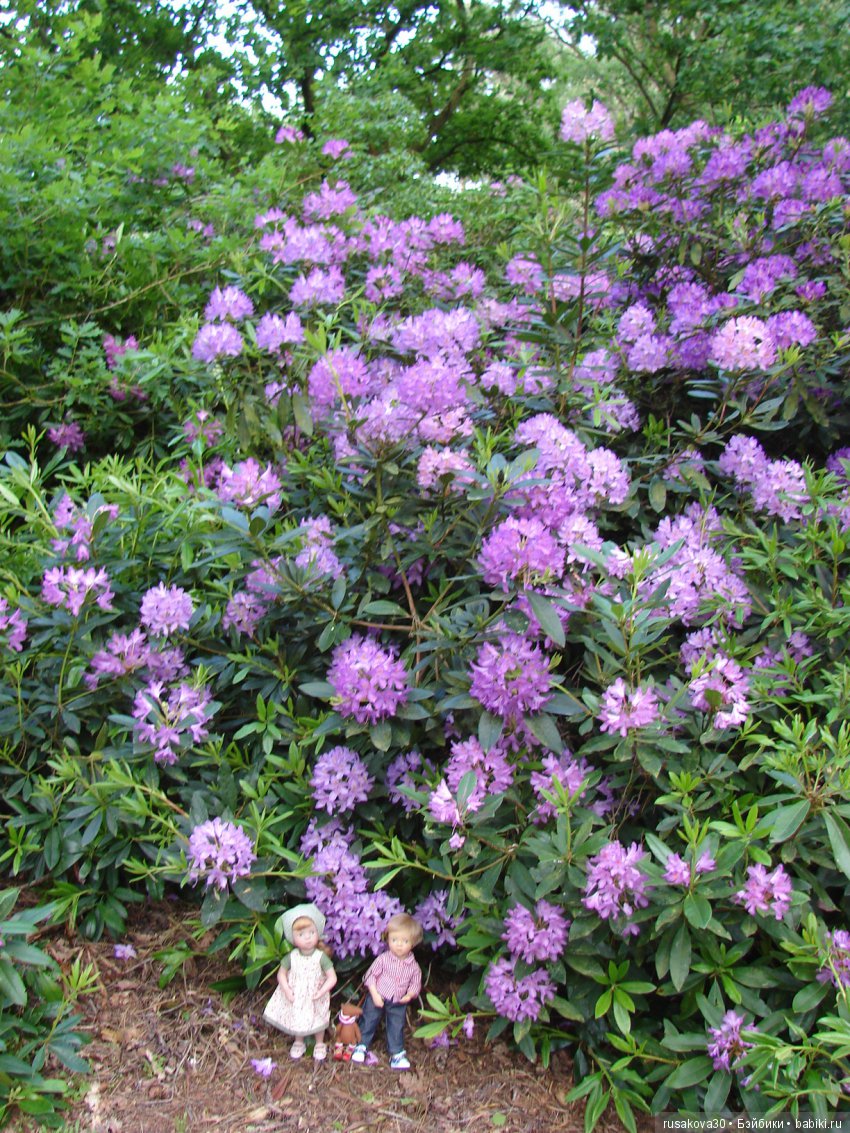 Людвиг и минушки в королевском поместье