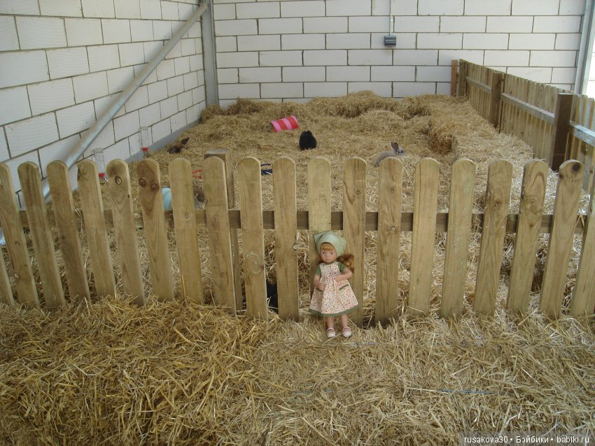 Минушки и Людвиг путешествуют