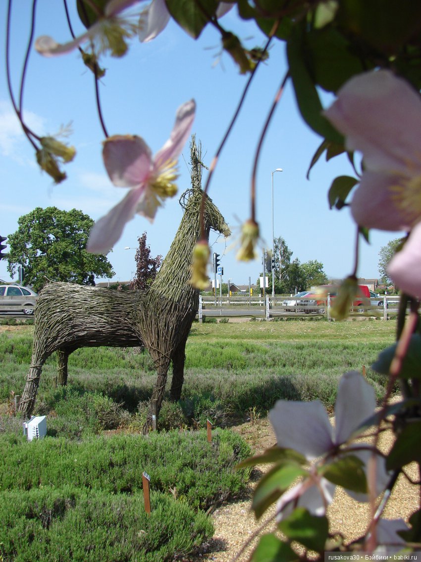 Минушки и Людвиг путешествуют