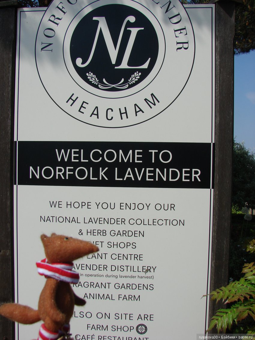 Минушки и Людвиг путешествуют