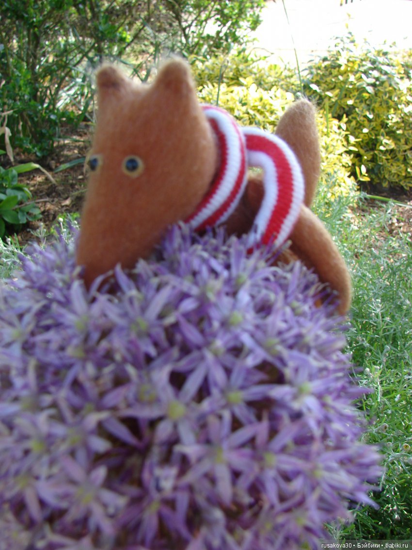 Минушки и Людвиг путешествуют