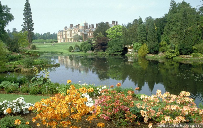 Людвиг и минушки в королевском поместье (фото 4)