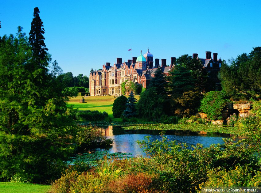 Людвиг и минушки в королевском поместье (фото 2)