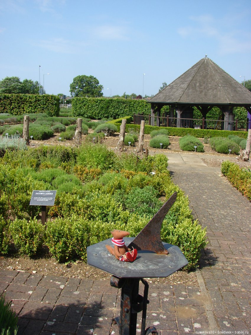 Минушки и Людвиг путешествуют