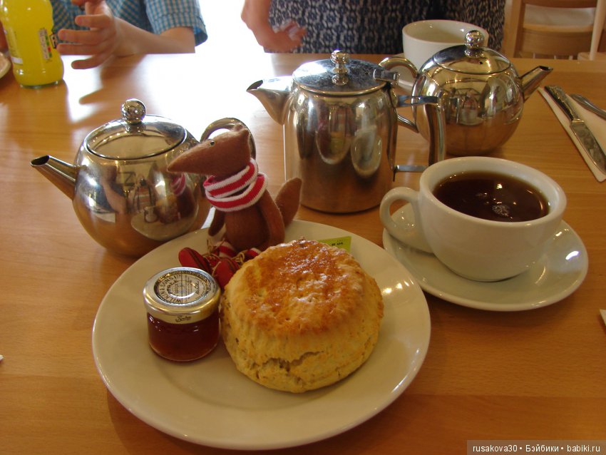 Минушки и Людвиг путешествуют