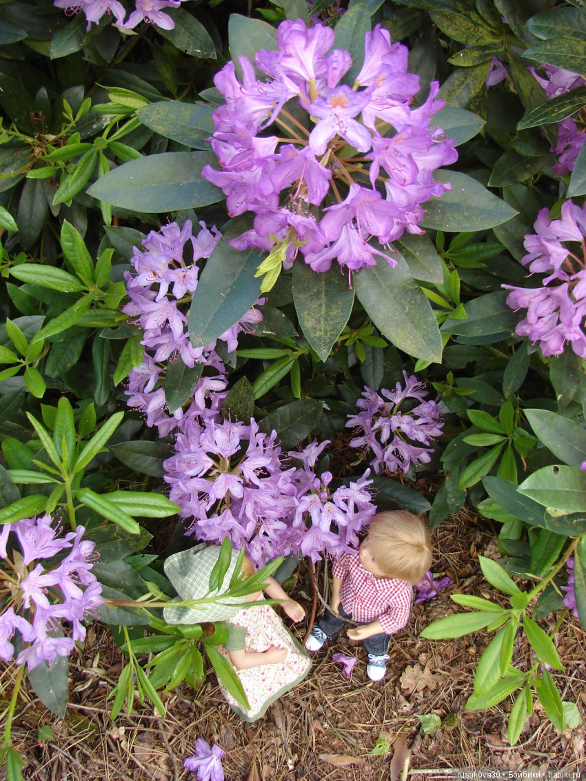 Людвиг и минушки в королевском поместье