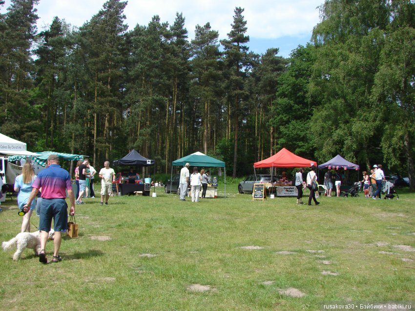 Людвиг и минушки в королевском поместье