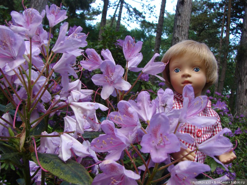 Людвиг и минушки в королевском поместье