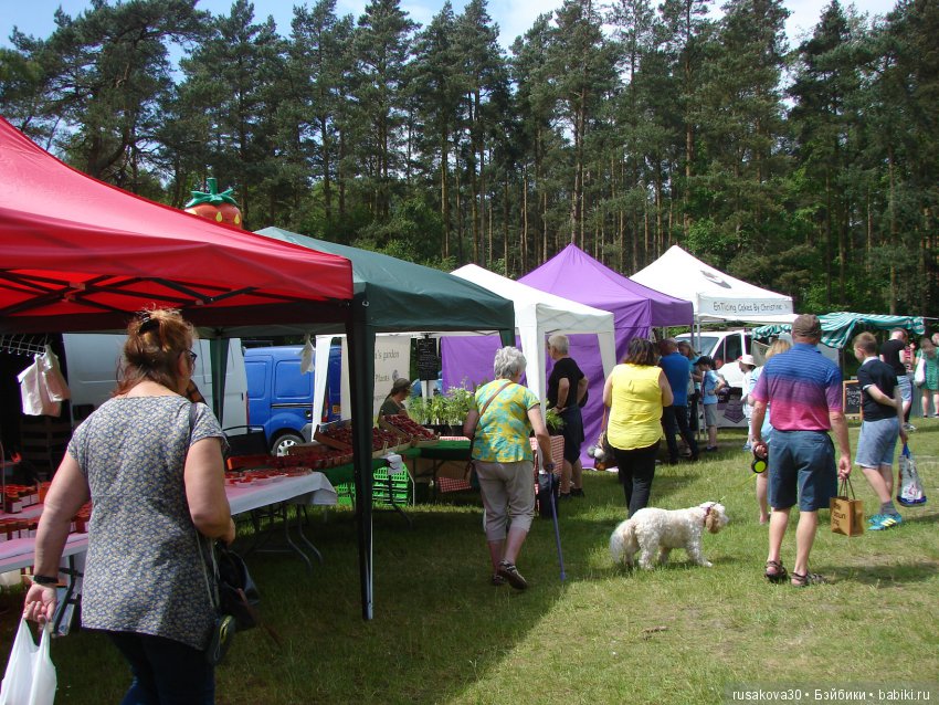 Людвиг и минушки в королевском поместье