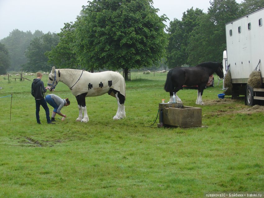 Принцесски на сельской ярмарке (фото 3)