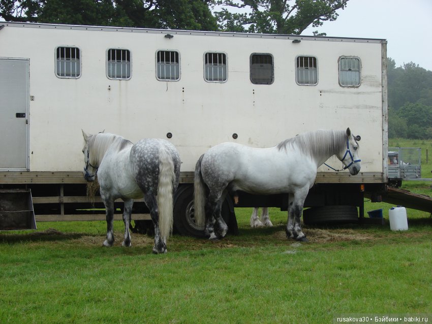Принцесски на сельской ярмарке (фото 8)