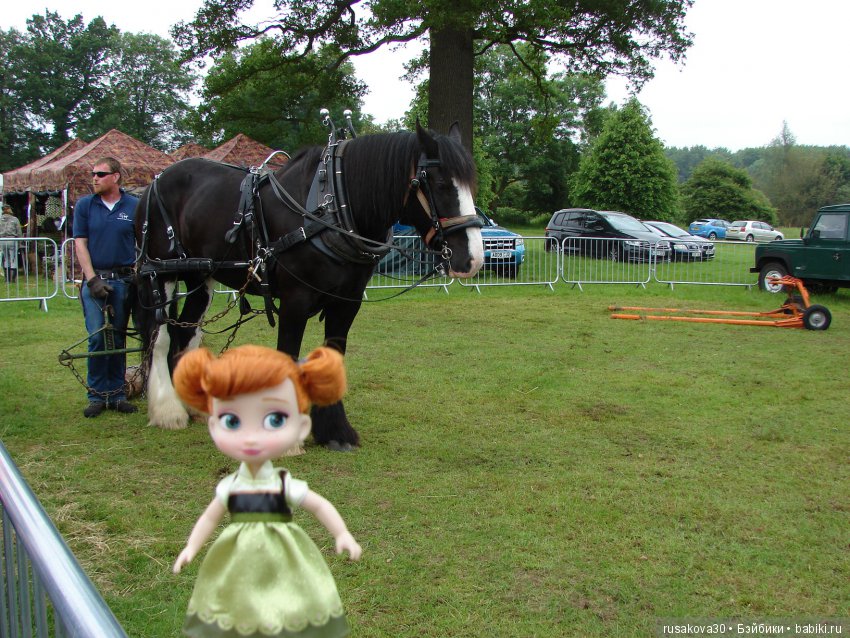 Принцесски на сельской ярмарке (фото 5)