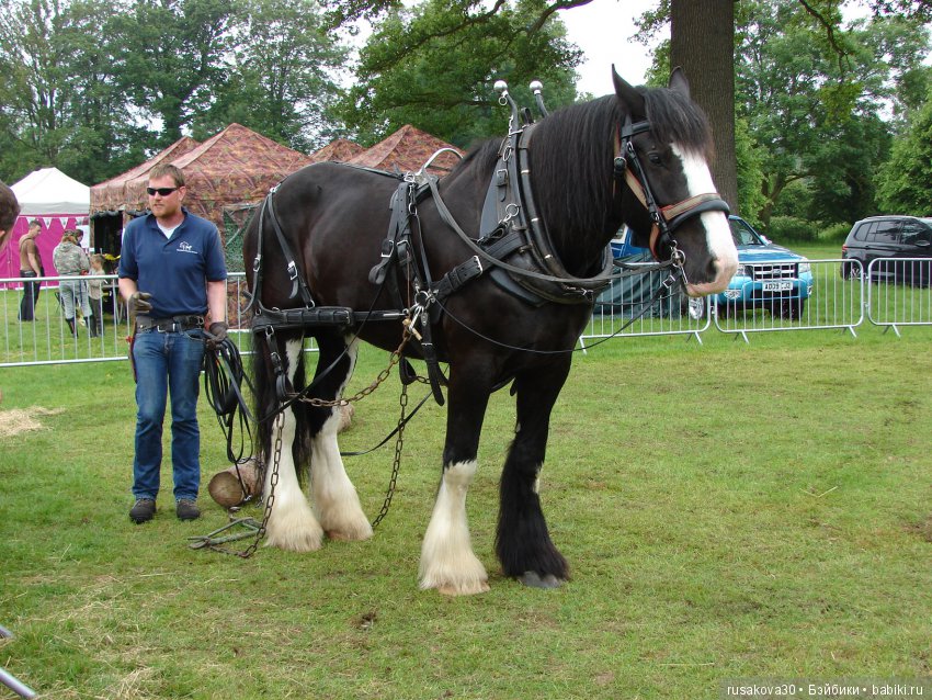Принцесски на сельской ярмарке (фото 6)