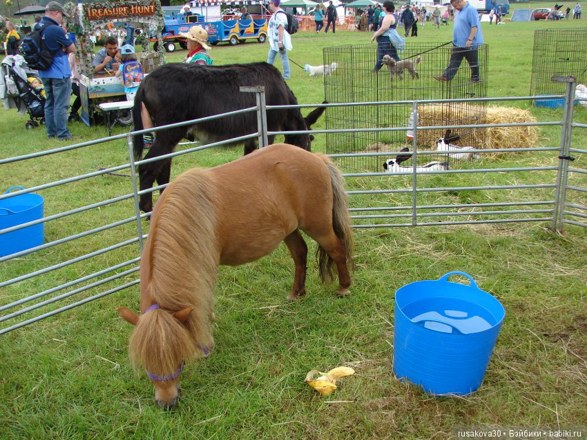 Принцесски на сельской ярмарке