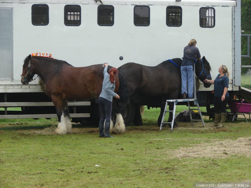 Принцесски на сельской ярмарке (фото 4)