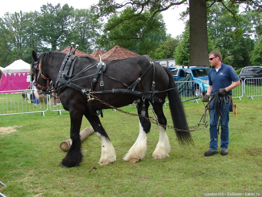 Принцесски на сельской ярмарке (фото 7)
