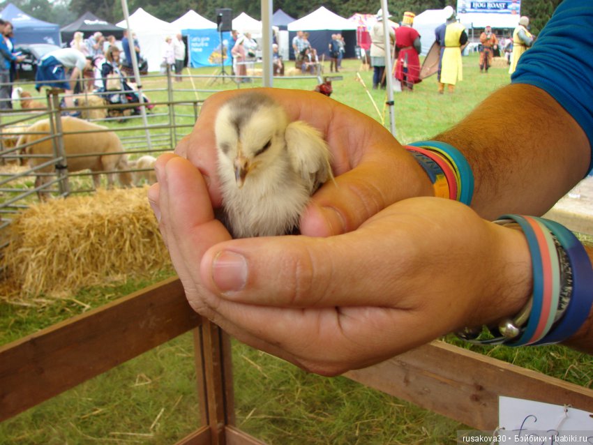 Принцесски на сельской ярмарке