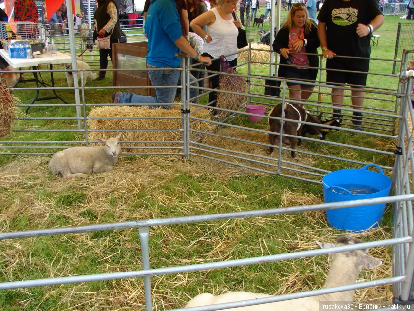 Принцесски на сельской ярмарке