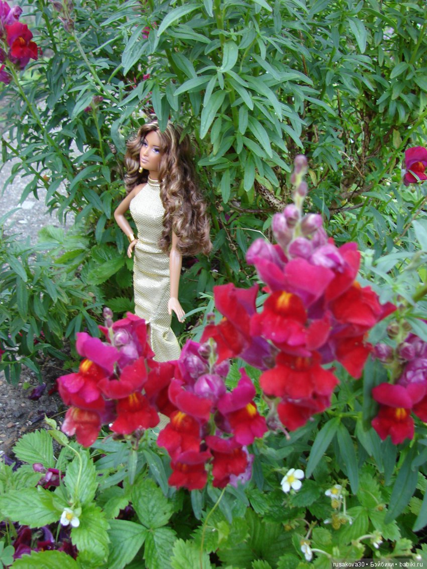 Мисс Бэйбики 2018! Адель и все о ней