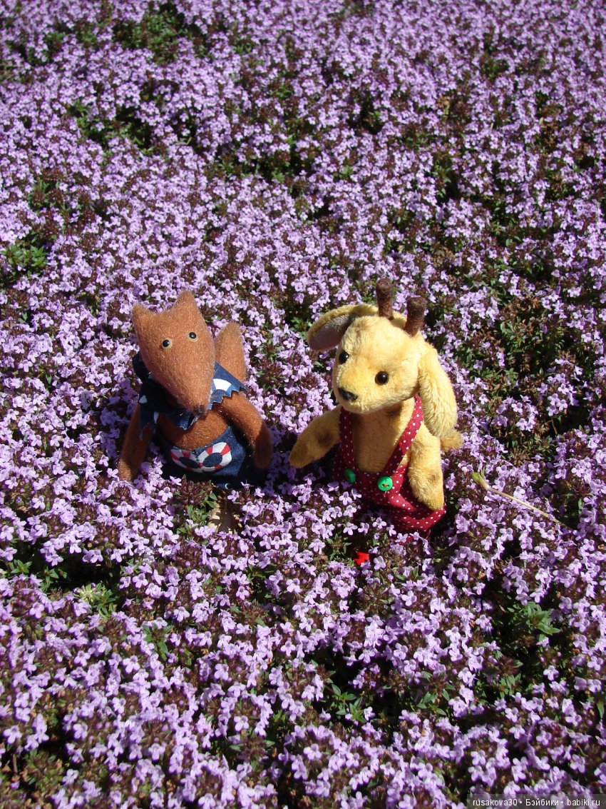 Бабайкины детки. Друг приехал (фото 10)