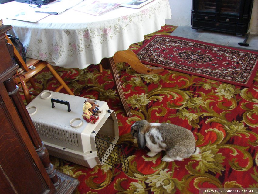 Бабайкины детки. Друг приехал